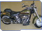 Mountain Boss Hoss - Sold Bikes