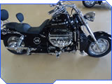 Mountain Boss Hoss - Sold Bikes